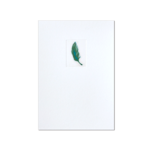 after-a-bird-fell-down