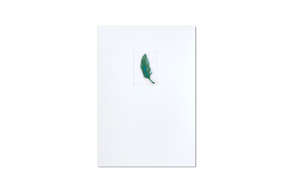 after-a-bird-fell-down