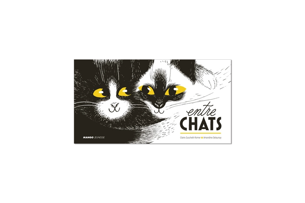 entre-chats